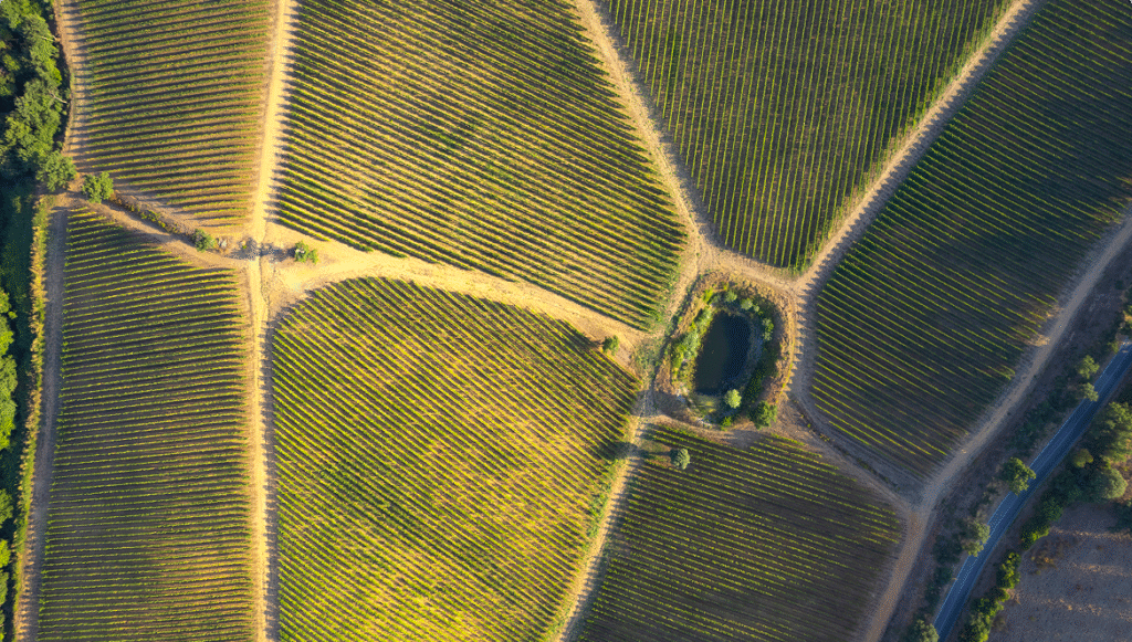 Good Value Lot in Dasma Village